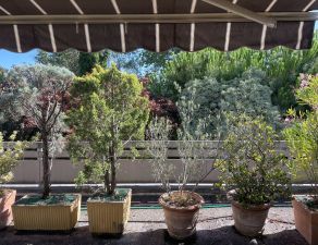 A vendre : Ensemble immobilier Rue Naujac avec jardin d'accueil, grande terrasse, ravissant jardin arrière