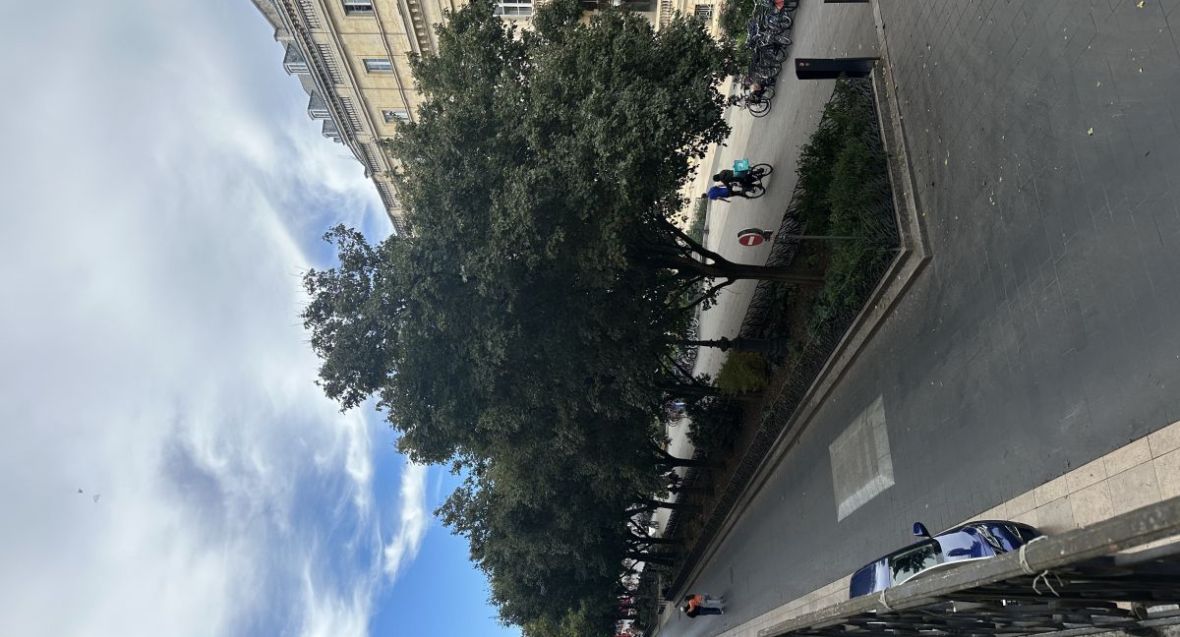 A vendre : Appartement Cours du Chapeau Rouge avec superbe vue sur le grand théâtre