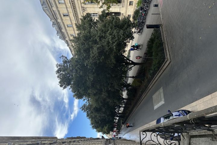 A vendre : Appartement Cours du Chapeau Rouge avec superbe vue sur le grand théâtre