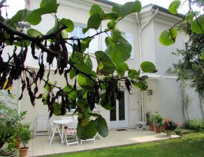 Caudéran maisons belle parcelle avec garage et dépendance