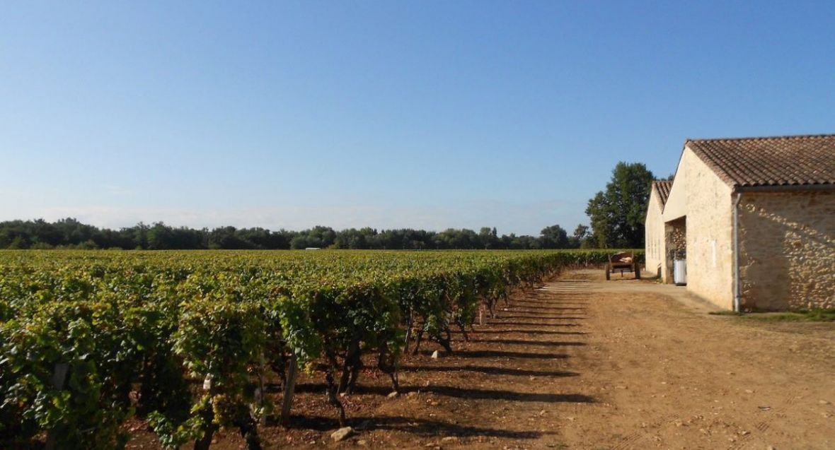 Propriété dans le sauternais