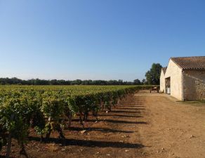 Property in sauternes